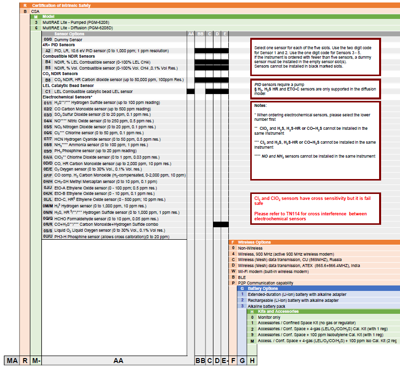 MultiRAE Lite Monitors Configuration Guide